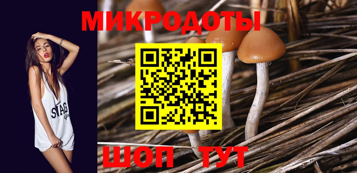 Псилоцибиновые грибы Psilocybe Старый Оскол